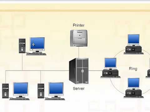 About LAN (Local Area Network).mp4