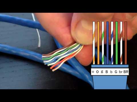 How to Make an Ethernet Cable! – FD500R – $24 Crimp Tool Demonstration