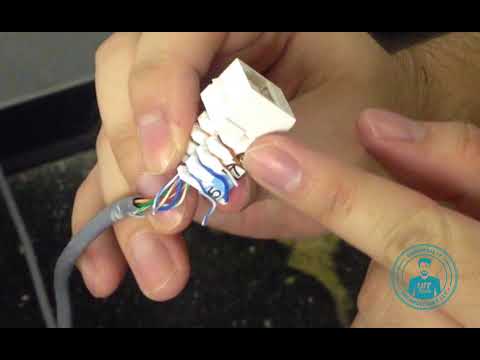 How to punch down a RJ45 Cat5e Wall Jack and test it using a cable tester Universal IT Tech