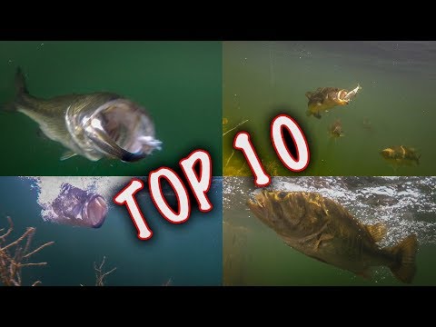 VIDEO: 10 Best Underwater Bass Strikes Of All Time!!