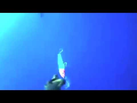 VIDEO: Underwater view of your Saltwater Lures.. Marlin, Salifish, Wahoo, and then……